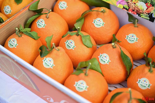 四川新春年货购物节10日开展！10万种年货汇集可逛到晚上8点(图2)