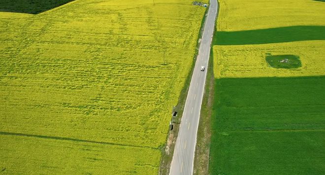 九游娱乐:2024年10大华语巅峰电影值得一看的全在这里了!(图8)