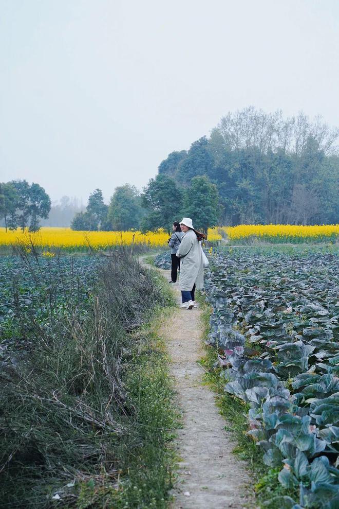 重新打量郫县豆瓣(图31)