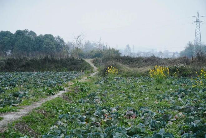 重新打量郫县豆瓣(图23)