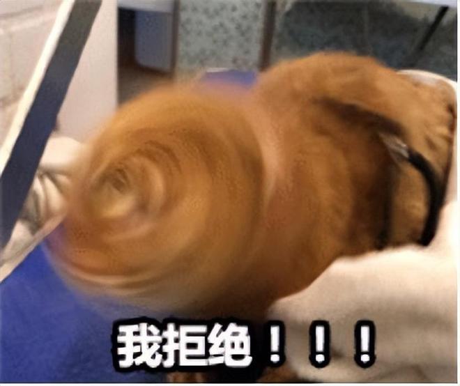 口水鸡、虎皮青椒那些名不对货让人大呼被骗的川菜(三)(图2)