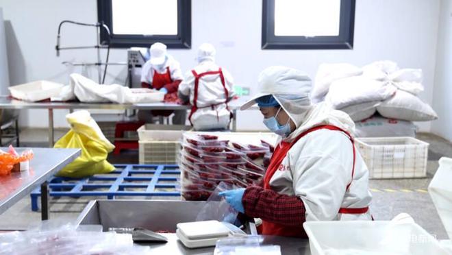 冲刺首季“开门红”丨乐陵:调味品企业赶订单争夺新年“头彩”(图1)