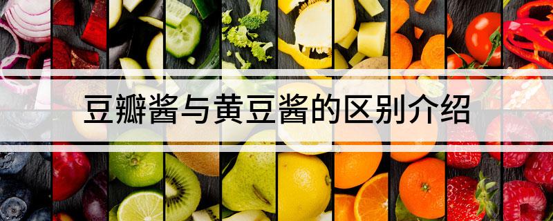 豆瓣酱与黄豆酱的区别介绍(图1)