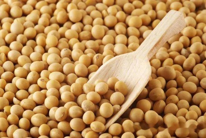 为什么郫县豆瓣酱被称为川菜的灵魂(图3)