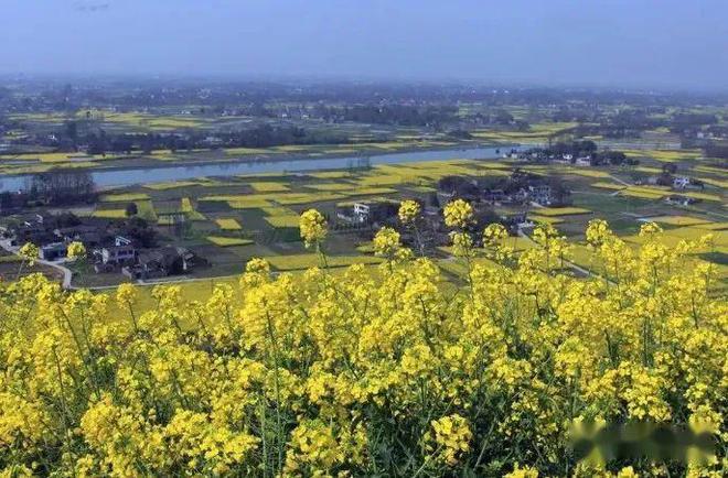 为什么郫县豆瓣酱被称为川菜的灵魂(图5)