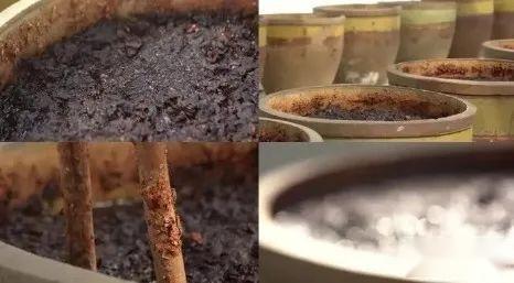 为什么郫县豆瓣酱被称为川菜的灵魂(图4)