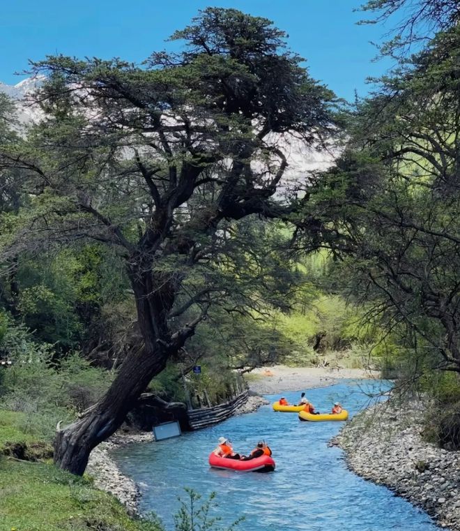 超全2025四川旅游攻略(四川土著吐血整理)6天5晚行程安排(图1)