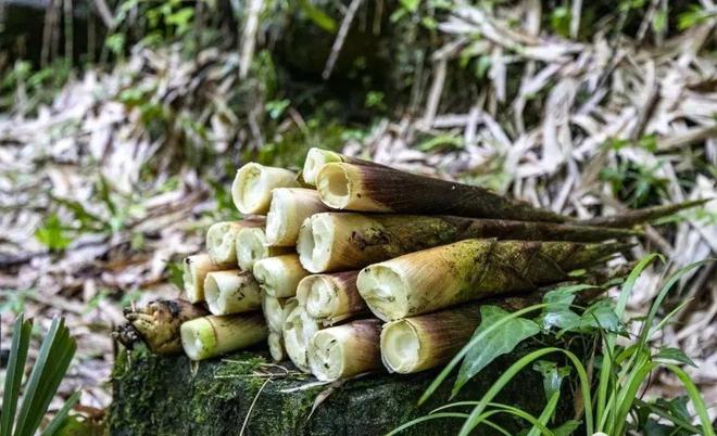 新春年货节崇州申请“出战”!(图8)