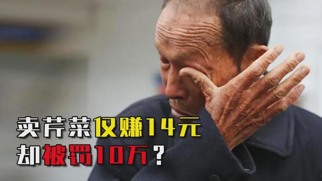 菜贩8斤尖椒农残超标赚13元遭罚款10万。回应：合法合规(图2)