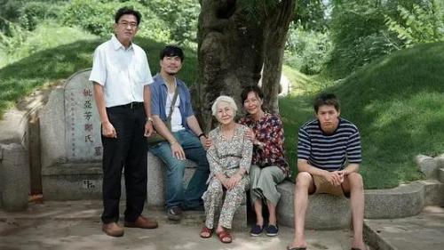 大胆创意+扎实制作2024全球影视佳作不容错过极客年度推荐(图26)