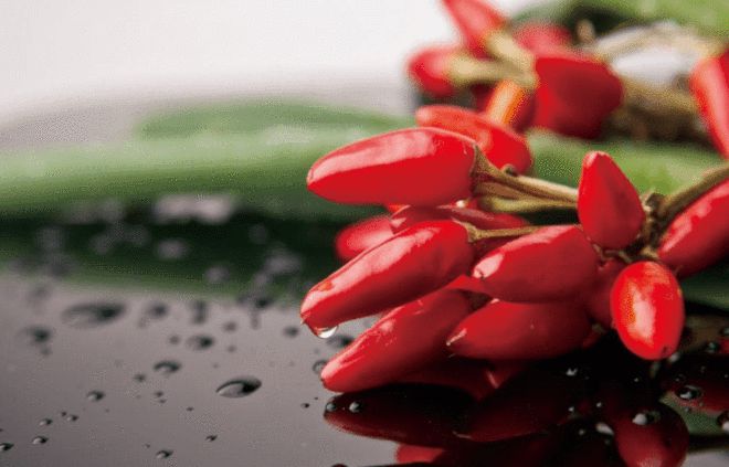 有颜又有料恒星率先推出挤挤装零添加豆瓣酱！(图2)