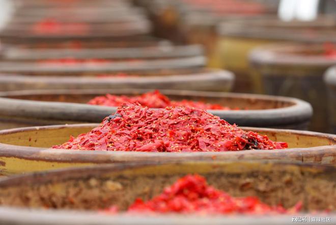 九游娱乐：感受“食”尚郫都这周五约起(图1)