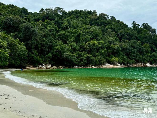 为什么杨紫琼、帕瓦罗蒂都爱这家度假村(图14)