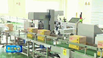 “链”动发展广东阳西持续壮大健康食品产业规模(图1)