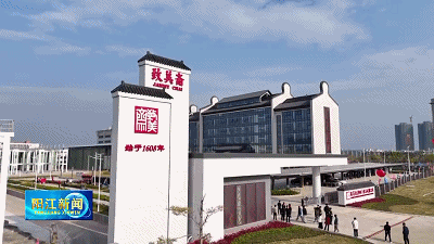 “链”动发展广东阳西持续壮大健康食品产业规模(图3)