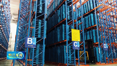 “链”动发展广东阳西持续壮大健康食品产业规模(图5)