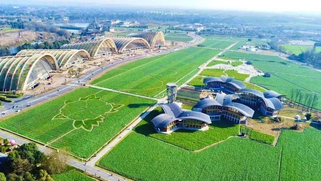 赶紧收藏新津3条新春旅游路线→(图1)