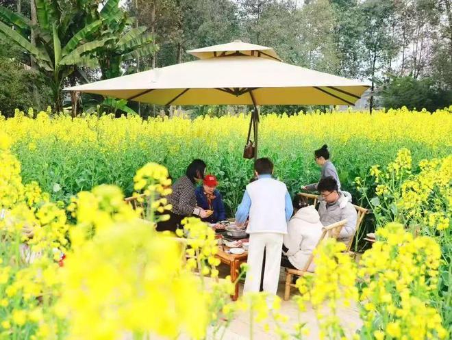 赶紧收藏新津3条新春旅游路线→(图3)