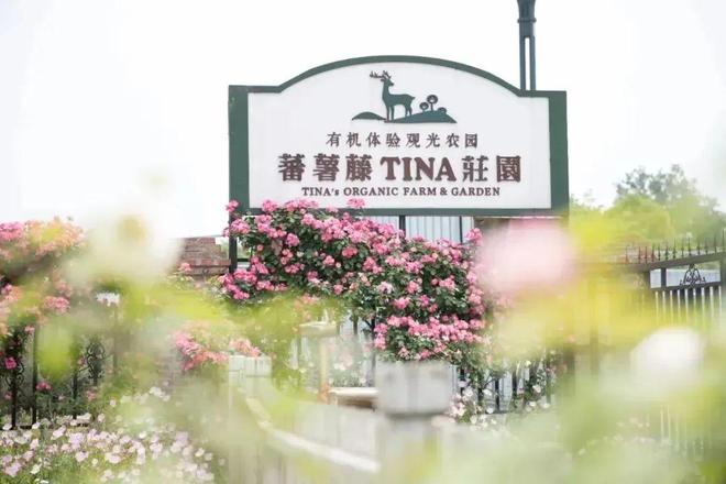 赶紧收藏新津3条新春旅游路线→(图2)