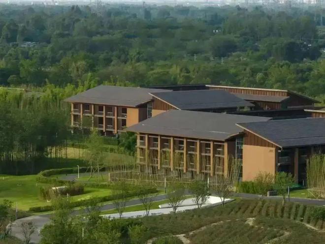 赶紧收藏新津3条新春旅游路线→(图6)