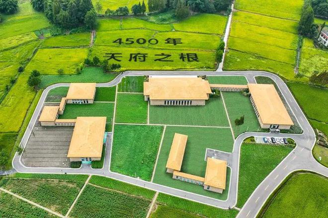 赶紧收藏新津3条新春旅游路线→(图5)