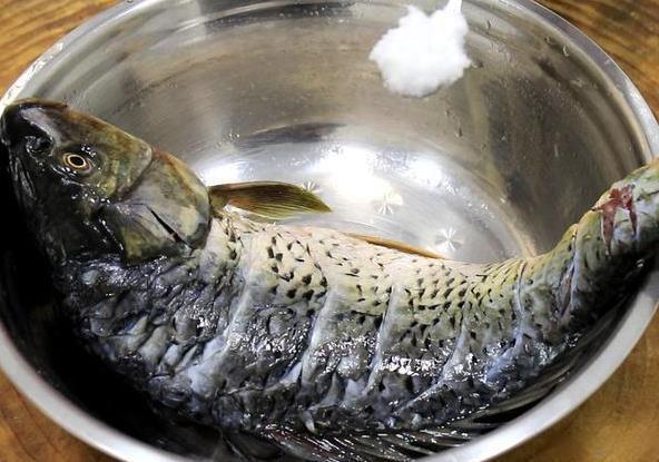 九游娱乐文化:四川豆瓣鱼引发美食热潮食客纷纷点赞(图2)