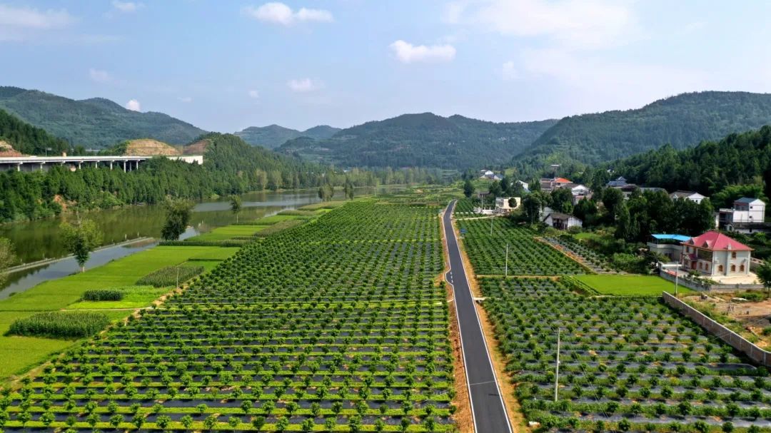 四川南充市一季度农业数据飘红(图3)