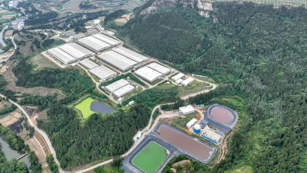 四川南充市一季度农业数据飘红(图1)