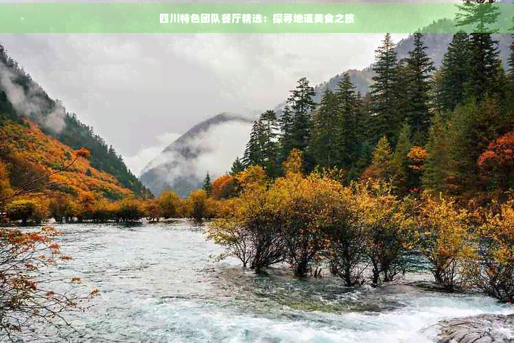四川特色团队餐厅精选：探寻地道美食之旅(图1)