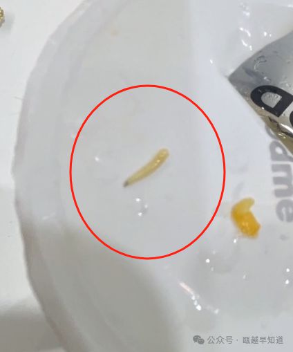 温州这家古茗店被曝光！奶茶喝出虫子(图2)