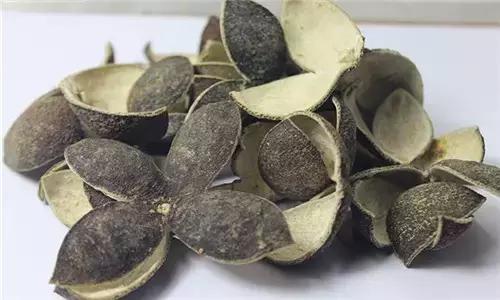 17种川菜用的特殊香料你见过多少种？(图6)