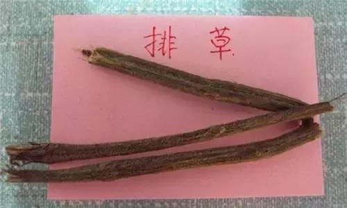 17种川菜用的特殊香料你见过多少种？(图9)