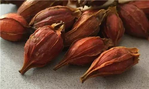 17种川菜用的特殊香料你见过多少种？(图14)