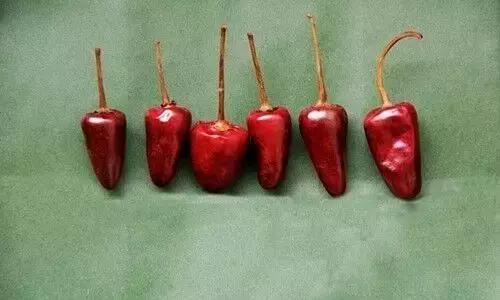 17种川菜用的特殊香料你见过多少种？(图18)