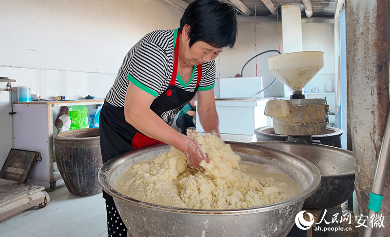 安徽涡阳：点豆成“金”(图4)