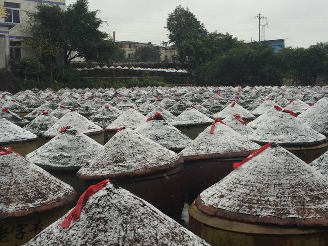 九游娱乐文化：跨越210年时光！探秘江津老字号迈进味业的传承与蝶变之路(图6)