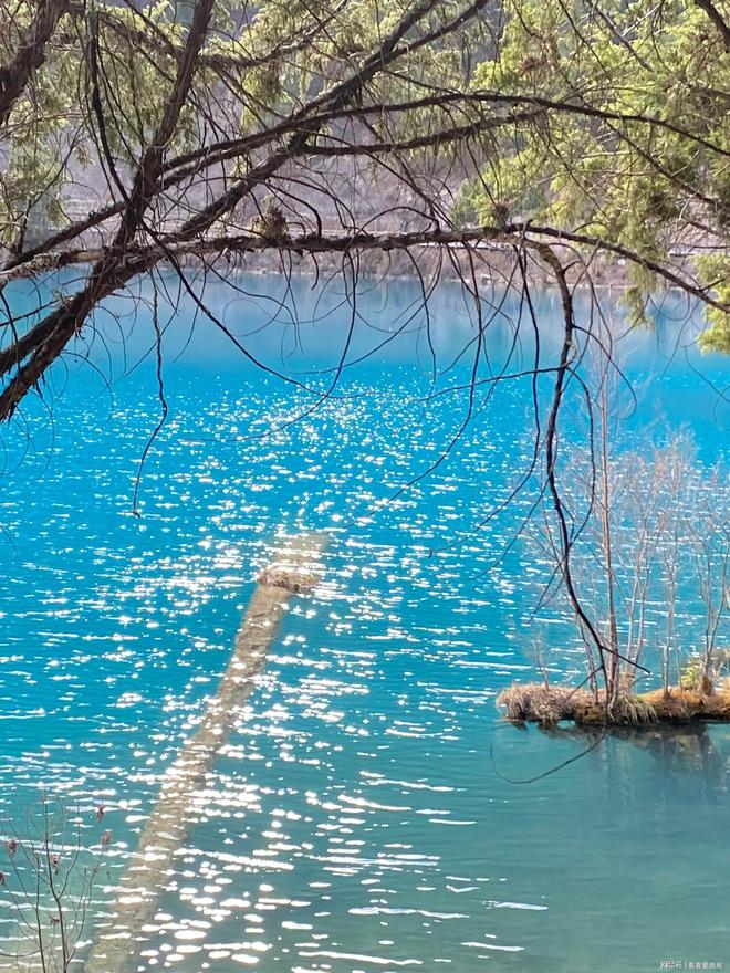 假期去四川跟团旅游5天多少钱四川组团游5天4晚人均多少钱(图1)