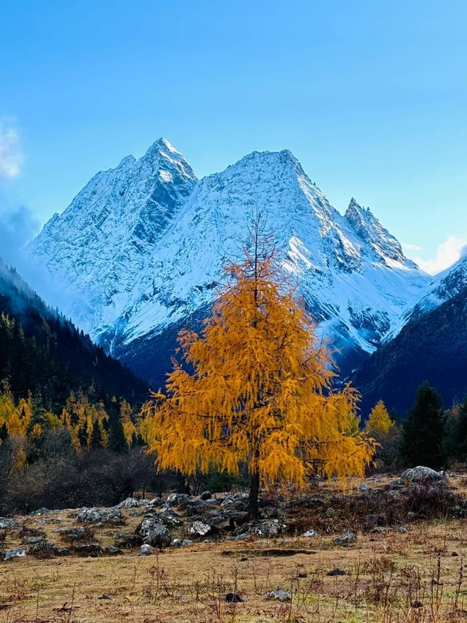 四月去四川五天参团要多少钱两个人去四川旅行5日游价钱(图1)