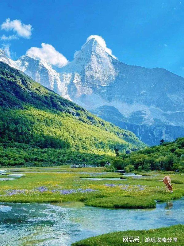 九游娱乐：成都四天旅游攻略成都旅游必去景点【必读指南】(图2)