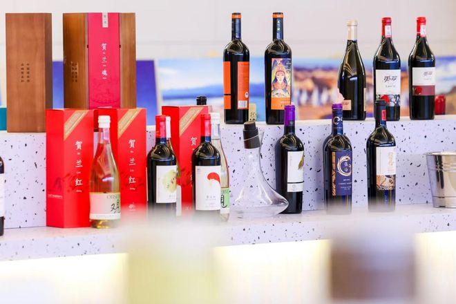 哈洽亮点抢“鲜”看哈洽亮点抢“鲜”看｜“香迷糊了！”来开启神奇的“味蕾之旅”(图12)