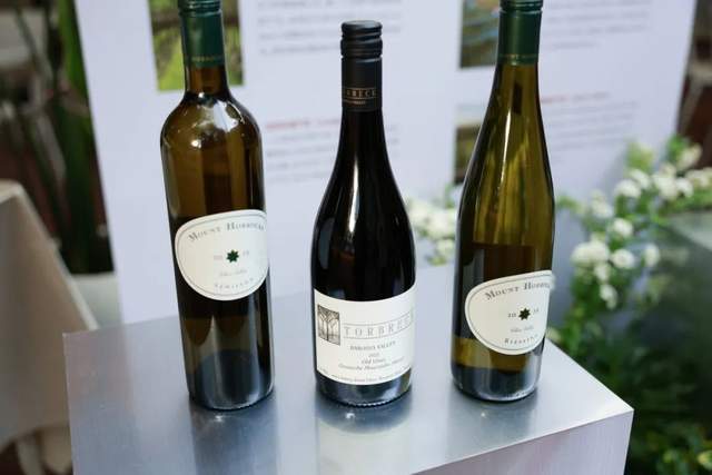 九游娱乐：“一杯南澳一场开怀”餐厅推广活动即将登陆沪深(图2)