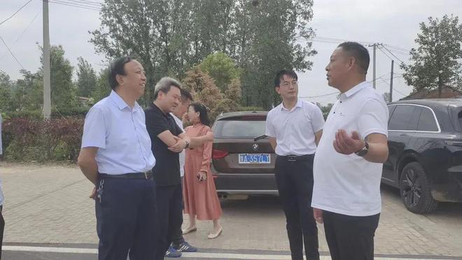 小黄姜牵出共赢链！信阳菜产业架起产销“连心桥”(图1)