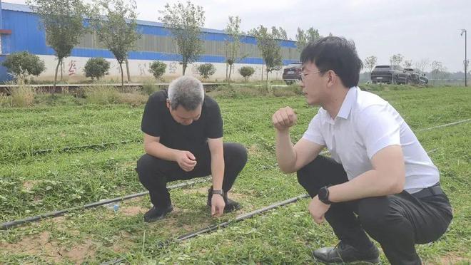 小黄姜牵出共赢链！信阳菜产业架起产销“连心桥”(图2)