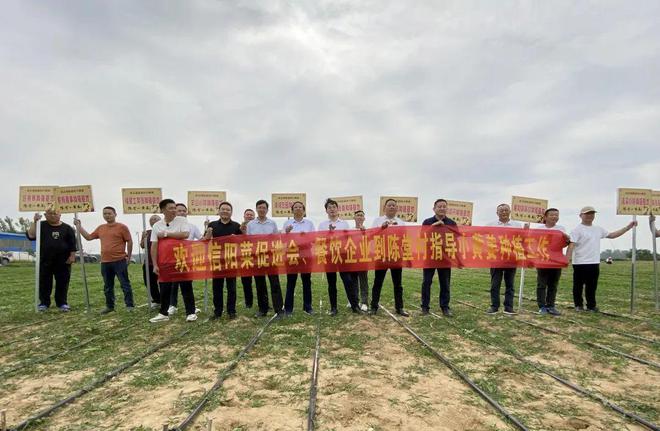 小黄姜牵出共赢链！信阳菜产业架起产销“连心桥”(图3)