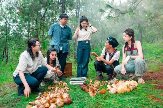 山野系火了云南正成为餐饮人新的灵感之都！(图6)