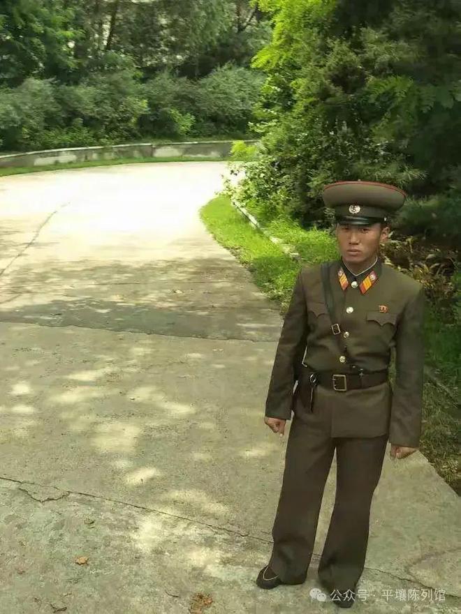九游娱乐：我在朝鲜农村的七天六夜：集体公社、自带口粮走亲戚真实的烟火(图2)