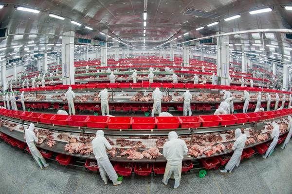 金锣：AI识别、数字化溯源层层加码让消费者“食肉无忧”(图1)