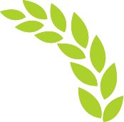 九游娱乐：力争年度投资达202亿！壮大绿色食品产业成都都市圈这样破题(图1)