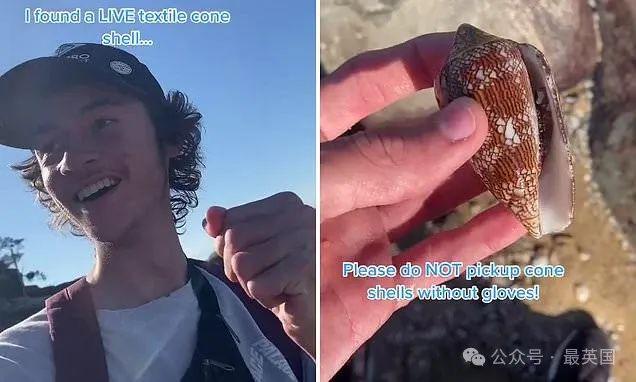 九游娱乐：吓尿！男子潜水捡到罕见‘漂亮贝壳’后玩了半天数百网友惊呼：你正与死神擦肩而过！(图6)