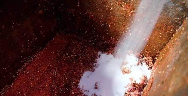 妈妈们做的豆瓣酱任何山珍海味都比不了的美味(图13)